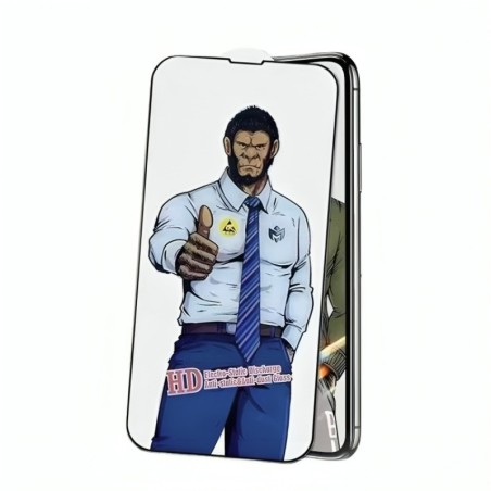 LCD apsauginis stikliukas ESD Anti-Static Apple iPhone XS Max/11 Pro Max
