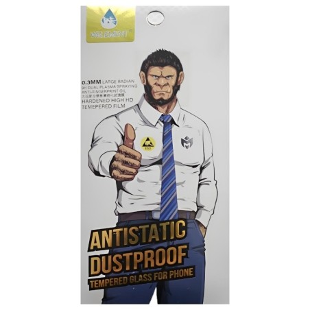 LCD apsauginis stikliukas ESD Anti-Static Xiaomi Redmi 13 4G/Redmi 13 5G/Poco M6 4G
